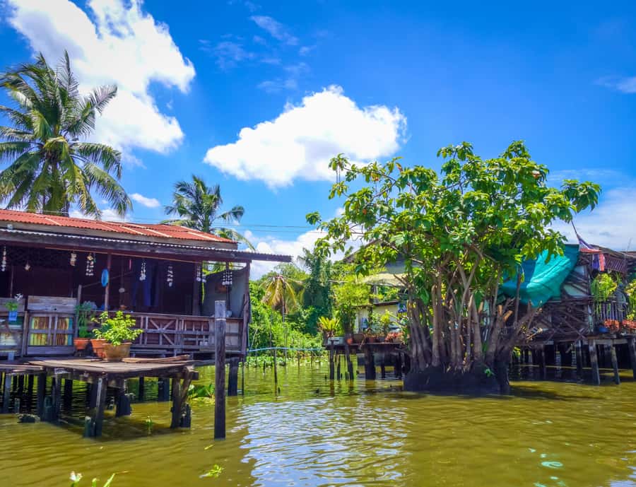 Bangkok: Private Floating & Railway Markets with Farm Visits - Why these markets are worth the drive from Bangkok