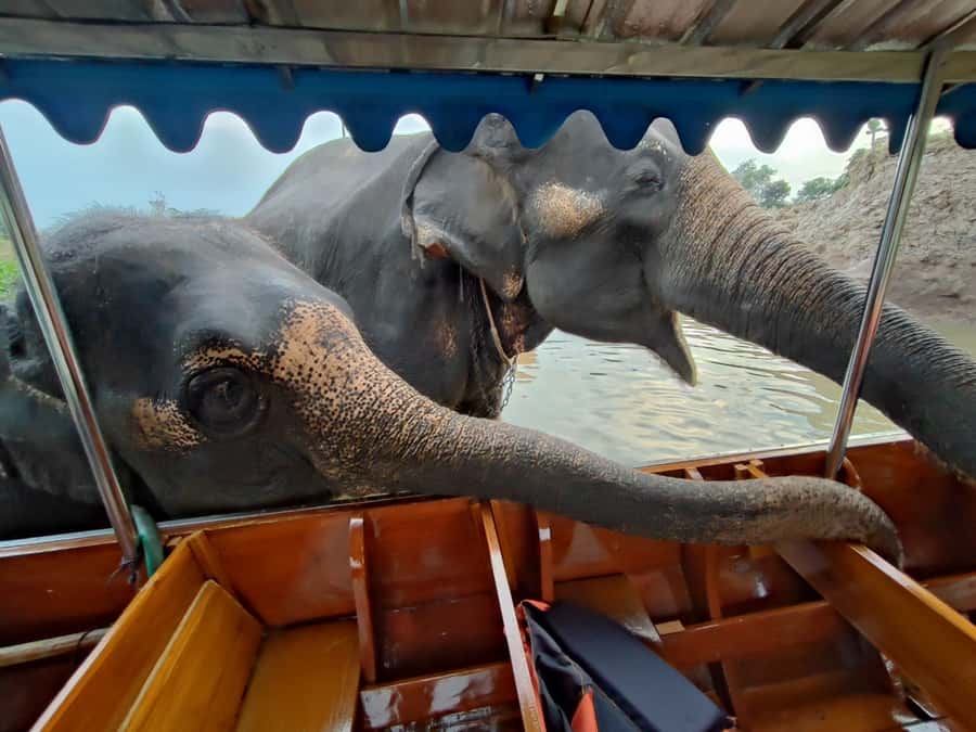 Bangkok: Private Trip to Ayutthaya Temples & Night Market - Why Ayutthaya makes a good day trip from Bangkok