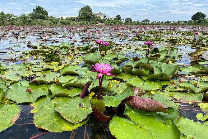 Bangkok: Red Lotus Pond & Thonburi Market - Lakeside food stalls and simple Thai snacks