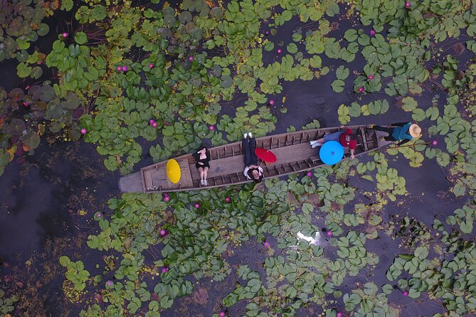 Bangkok: Red Lotus Pond & Thonburi Market - The Red Lotus Pond: three hours among pink flowers