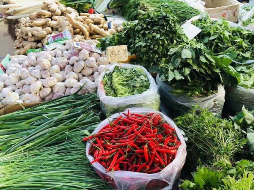 Beijing: Vegan Home Cooking & Local Market Tour with Sanxia - Why this Beijing cooking experience feels different