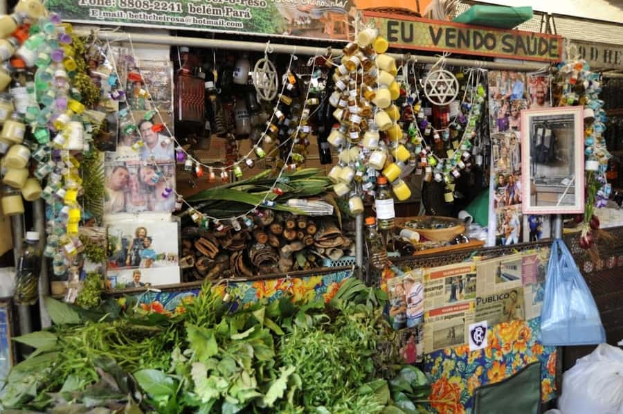Belém: Half-Day City Tour with Ver-o-Peso Market Visit - Key points to know before you book