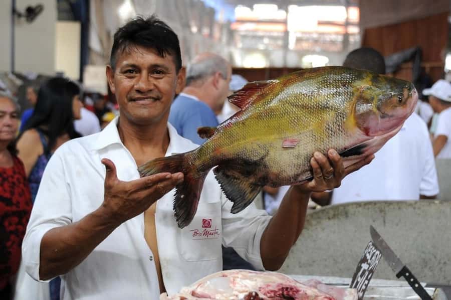 Belém: Half-Day City Tour with Ver-o-Peso Market Visit - Why this four-hour route works in Belém