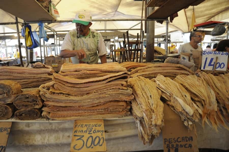 Belém: Half-Day City Tour with Ver-o-Peso Market Visit - Castelo Fortress and Belém’s first chapter