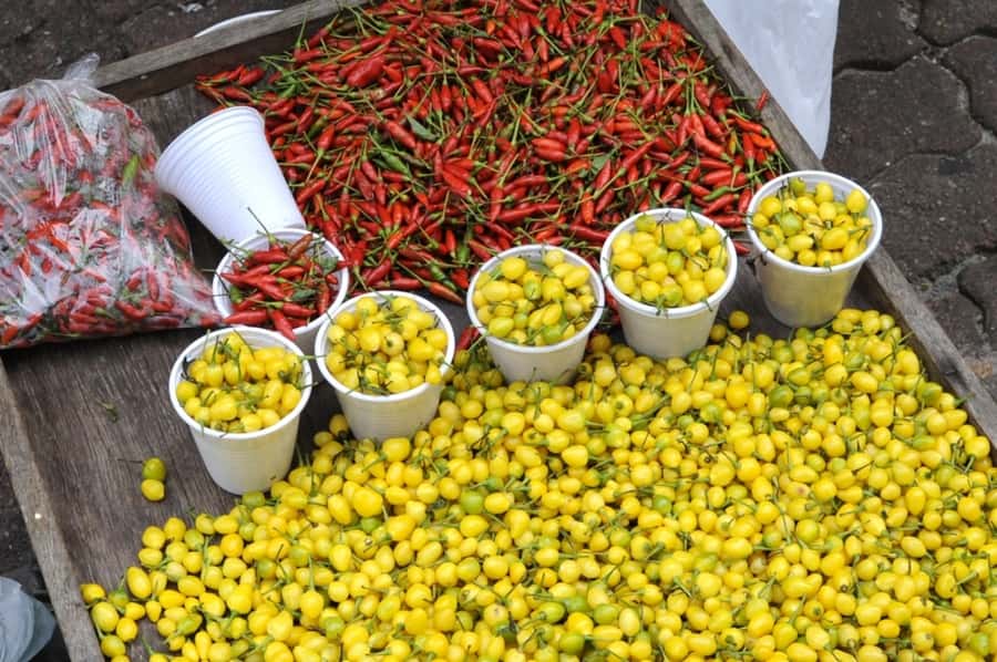 Belém: Half-Day City Tour with Ver-o-Peso Market Visit - Ver-o-Peso Market beside Guajará Bay