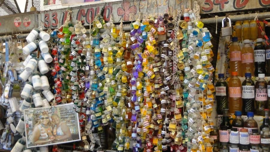 Belém: Ver-o-Peso Market and Full-Day City Tour with Lunch - Who should book this Belém city tour