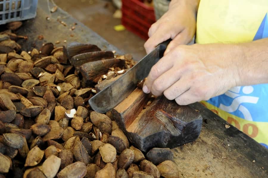 Belém: Ver-o-Peso Market and Full-Day City Tour with Lunch - Starting at Ver-o-Peso Market