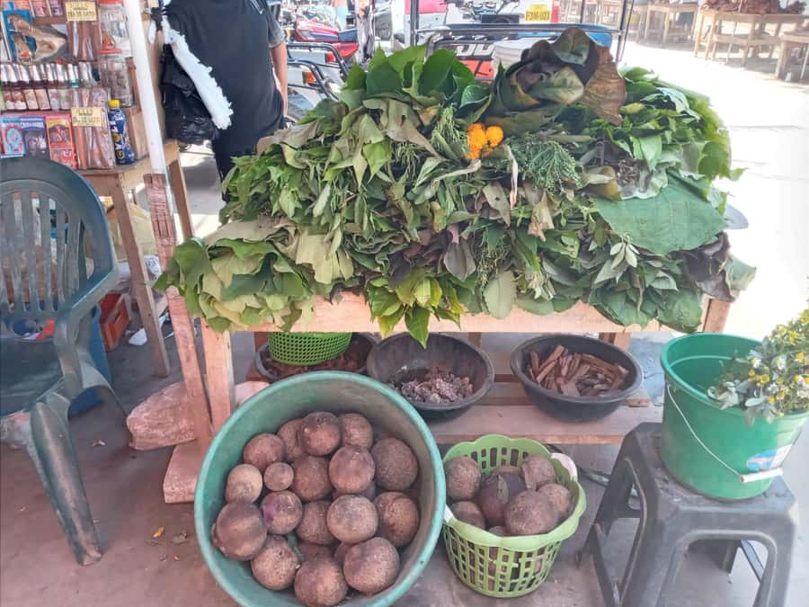 Belen Market & Floating City 2-3 Hour Private Tour - What makes the market visit worthwhile