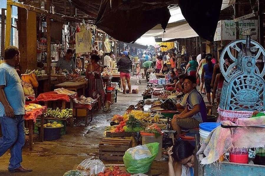 Belen Market & Floating City 2-3 Hour Private Tour - Is $40 a fair price for 150 minutes?