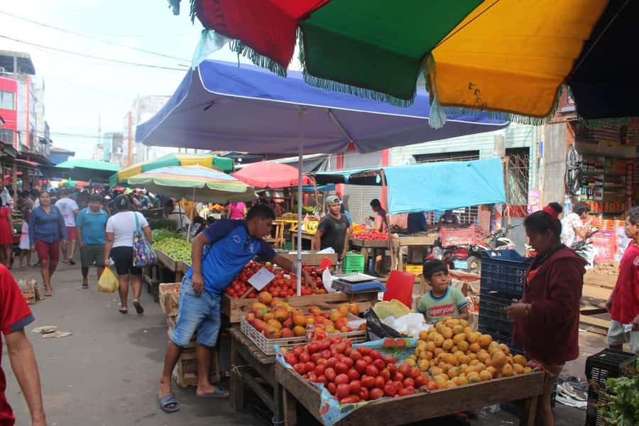 Belen Market & Floating City 2-3 Hour Private Tour - Should you book the Belen and floating city tour?