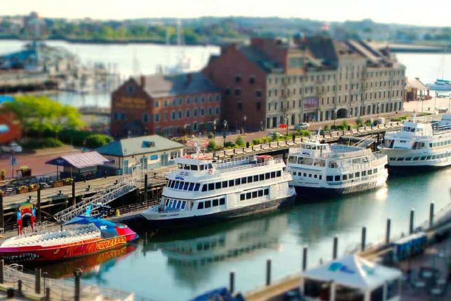 Best Of Boston: Harvard, MIT and Harbor Cruise 1 Day Tour - Key Points Before You Book