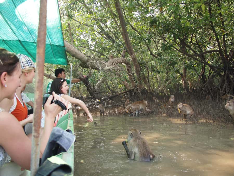 BKK :Meet monkey, mangrove forest, seafood& market -private - Key points to know before booking