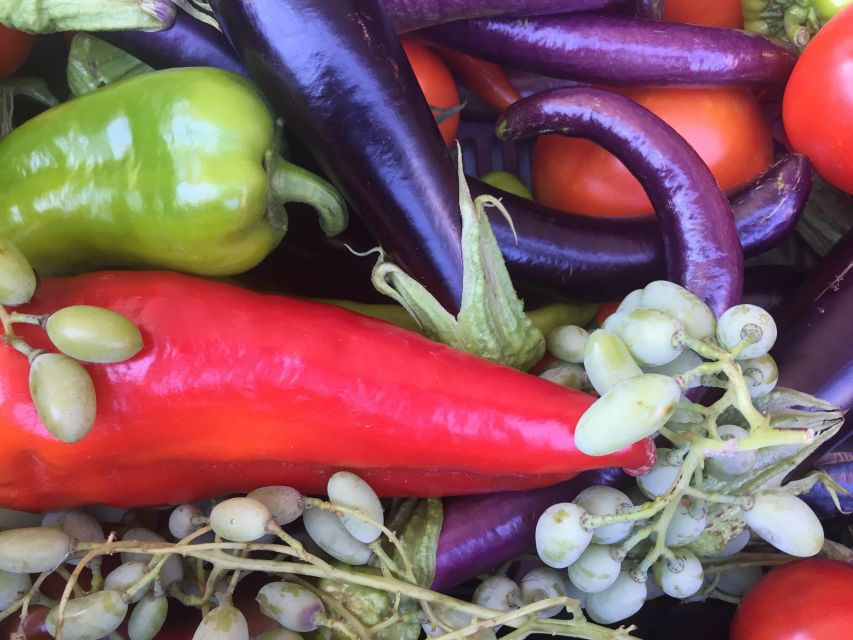 Bodrum: Market Visit and Cooking Class - Why this Bodrum food tour feels different