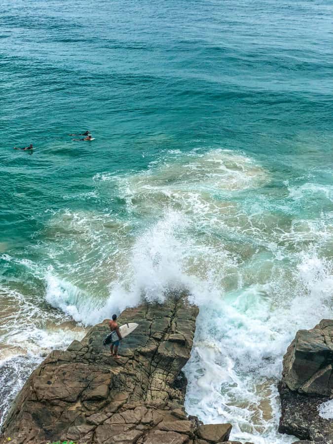 Brisbane: Eumundi Markets, Noosa Gems & Afternoon Cruise - Choosing between Currumbin Wildlife Sanctuary and Miami Marketta