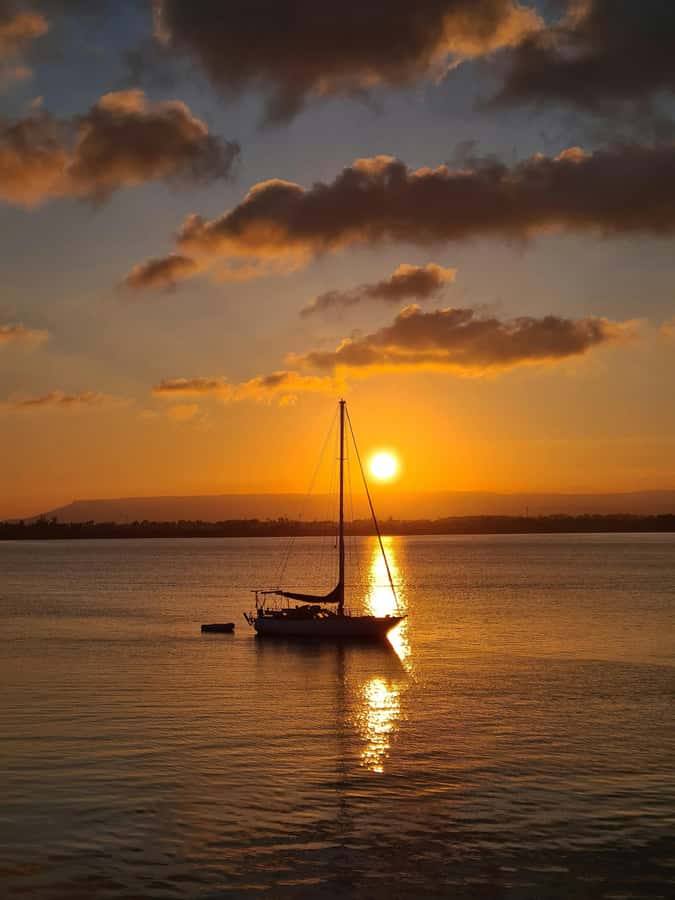 Brisbane: Eumundi Markets, Noosa Gems & Afternoon Cruise - Finishing on calm water with a complimentary drink