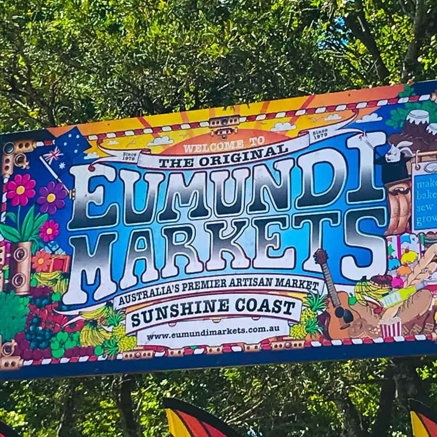 Brisbane: Eumundi Markets, Noosa Gems & Afternoon Cruise - Who should book this day?