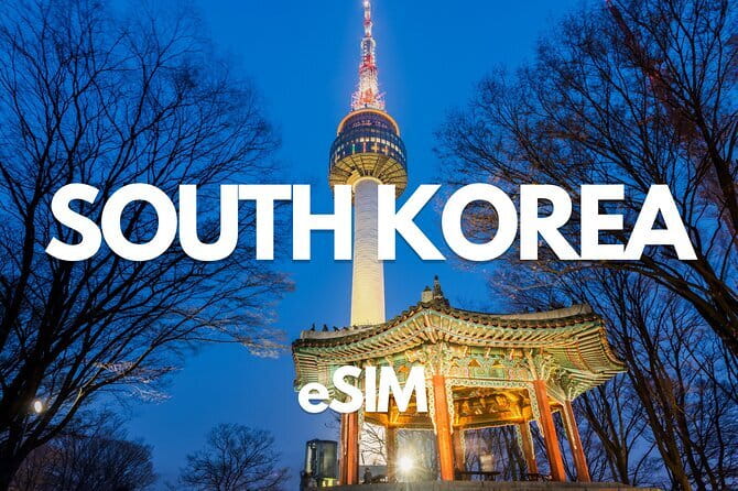 Busan: Food Crawl with Fish Market, Soju Tents & Local Snacks - Booking, cancellation, and final call