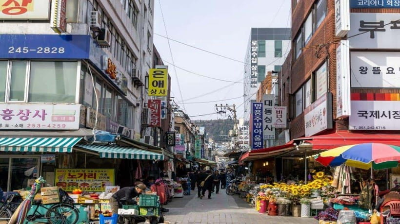 Busan: Jagalchi Market & Gamcheon village Walking Tour - Key points to know before booking