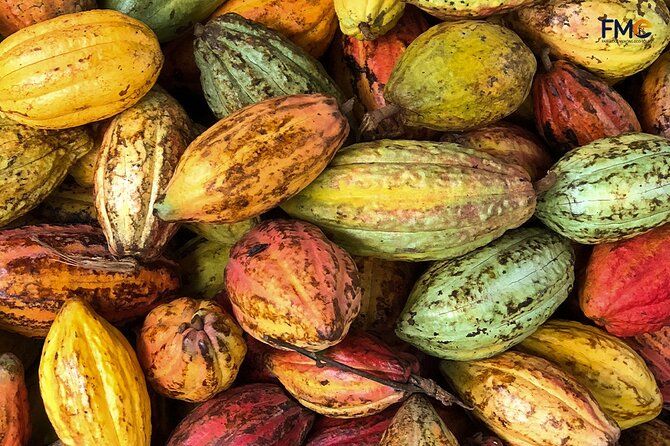 Cai Rang floating market, Cacao & hidden small canal - My Khanh village and everyday Mekong life