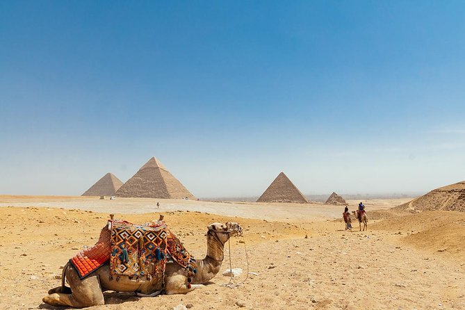 Cairo Full-Day Tours to Giza Pyramids ,Egyptian Museum & Bazaar - Lunch, transport, and the human factor