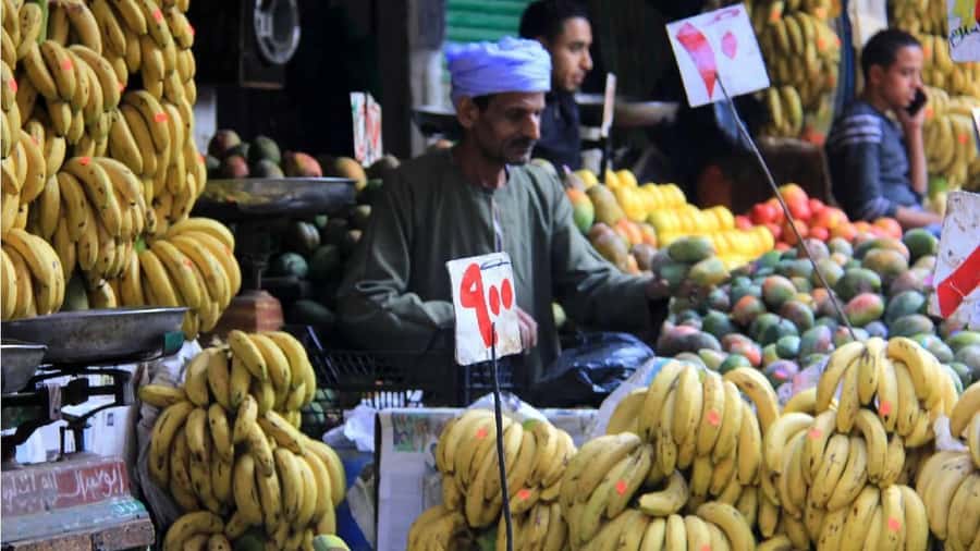 Cairo: Local Market Guided Tour with Tuk-tuk Ride & Lunch - Key points before you book