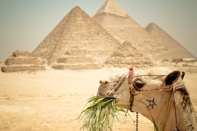 Cairo Private Tours To Giza Pyramids,Egyptian Museum & Bazaar - Khan El-Khalili after the monuments