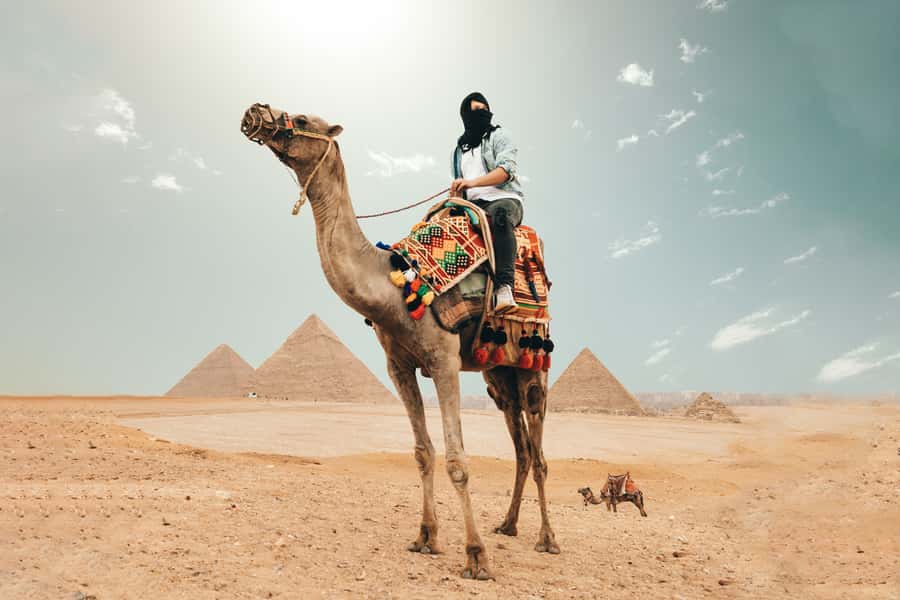 Cairo: Pyramids, Bazaar, Citadel Tour with Photographer - Giza Plateau: pyramids first, as they should be
