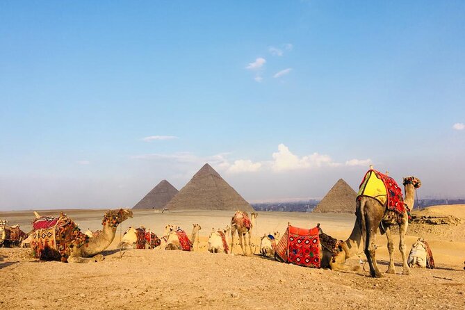 Cairo Sightseeing Tour (Giza Pyramids + Museum + Khan el Khalili Bazaar) - Should you book this Cairo tour?