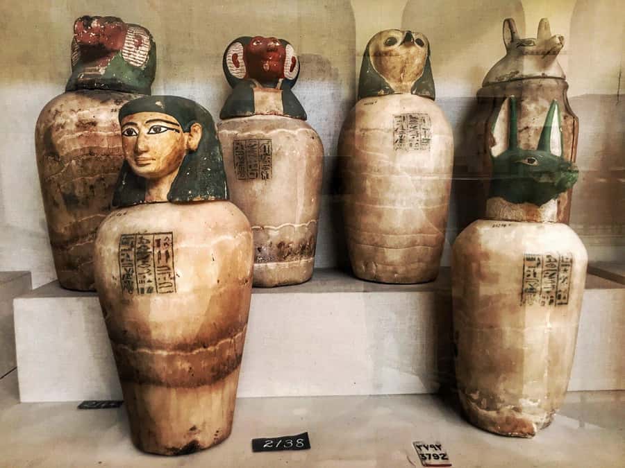 Cairo Tour To Egyptian Museum, Citadel & Khan Khalili Bazaar - Final verdict: a sensible first day in Cairo