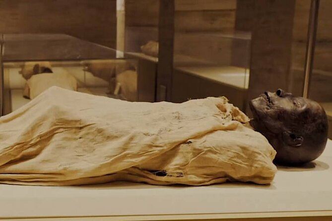 Cairo Tour To The National Museum of Egyptian Civilization, Citadel & Bazaar - The Citadel and its hilltop views