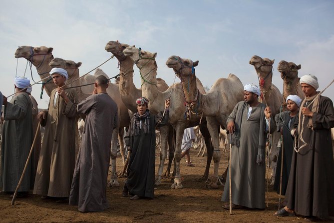 Cairo Unusual Day Tour Visit Camel Market in Birqash - Key points at a glance