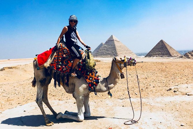 Cairo Unusual Day Tour Visit Camel Market in Birqash - What to know before you go