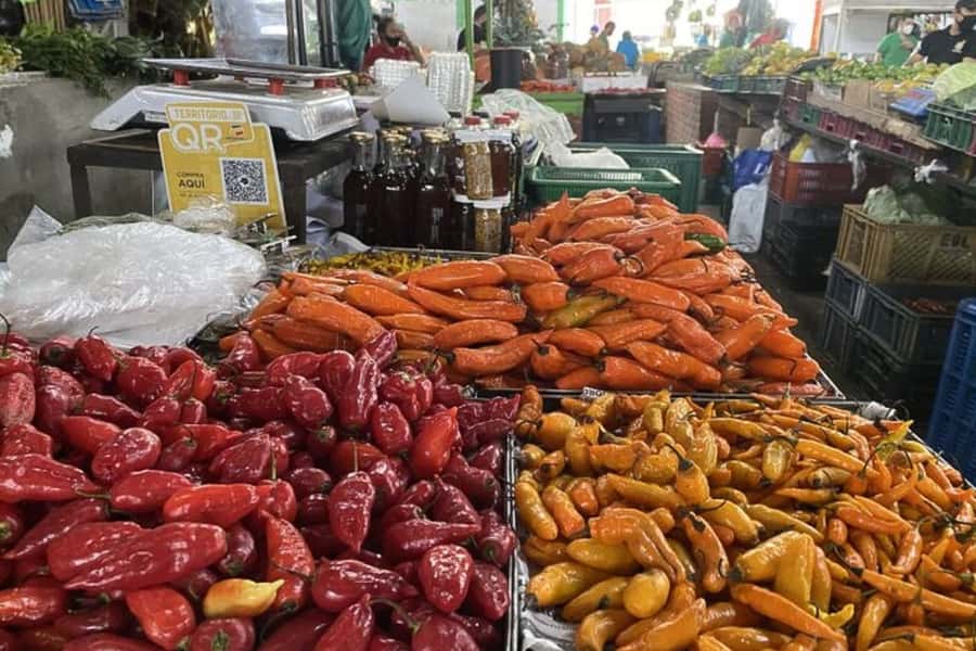 Cali: Fruit Market Walking Tour with Tastings - The climate behind Colombia’s fruit production