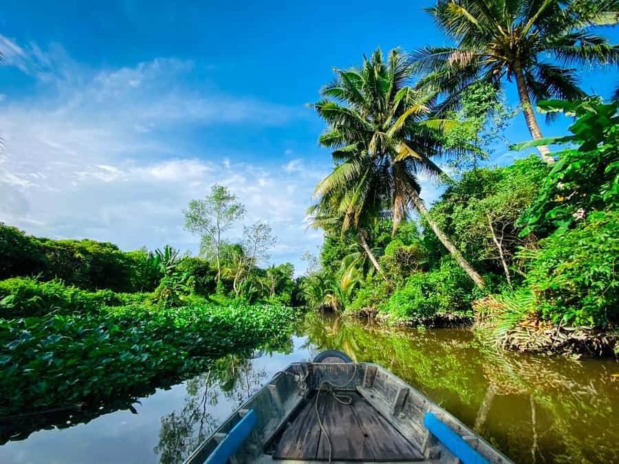 Can Tho: A Real Mekong Tour, Floating Market, Cacao & Life's - Who will enjoy this Can Tho morning most