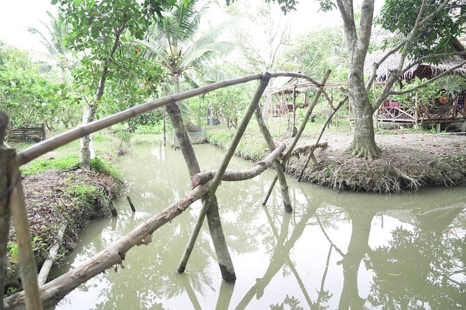 Can Tho Floating Market and Fruit Garden Tour - The quieter side of Can Tho’s canals