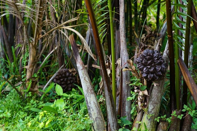 Can Tho Floating Market and Fruit Garden Tour - Guides who add value to the morning