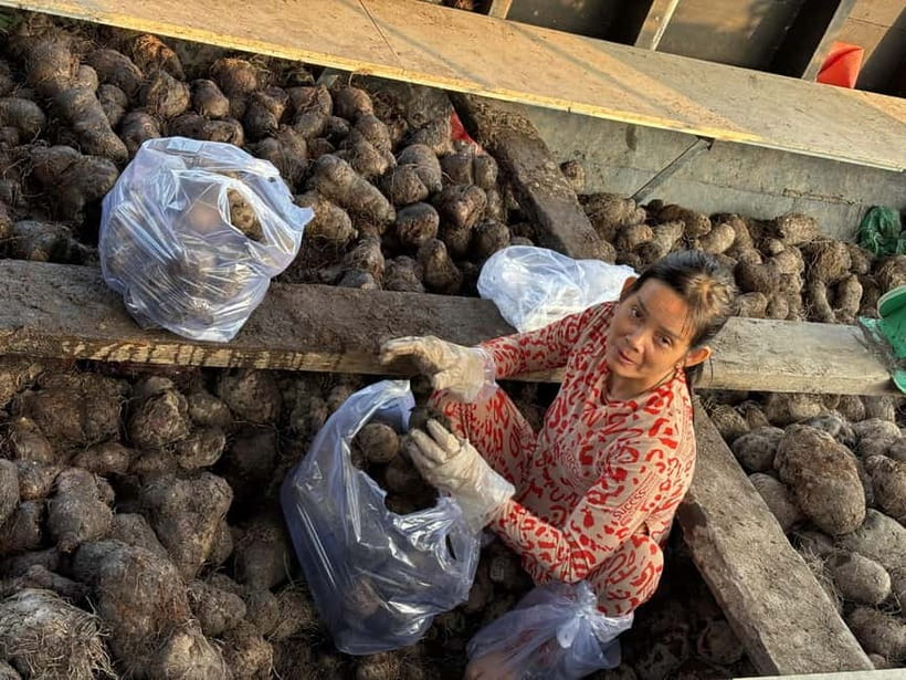 Can Tho: Floating Market, Cacao & Canals with French Guide - Group size, comfort, and practical limits
