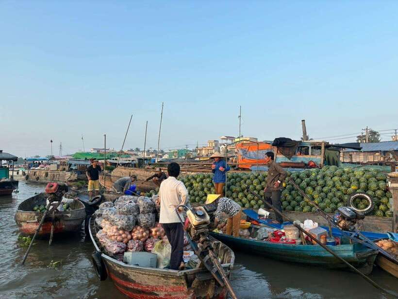 Can Tho: Floating Market, Canal, Cacao Farm & Mekong' Life - Cai Rang Floating Market before breakfast