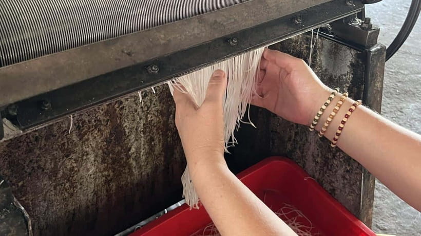 Can Tho: Floating Market explore local life, Mekong farm - What $54 gets you
