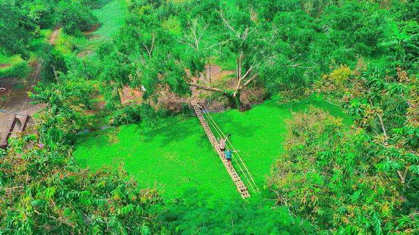 Can Tho: Floating Market & Lung Ngoc Hoang Nature Reserve - A Khmer pagoda and a quieter cultural pause