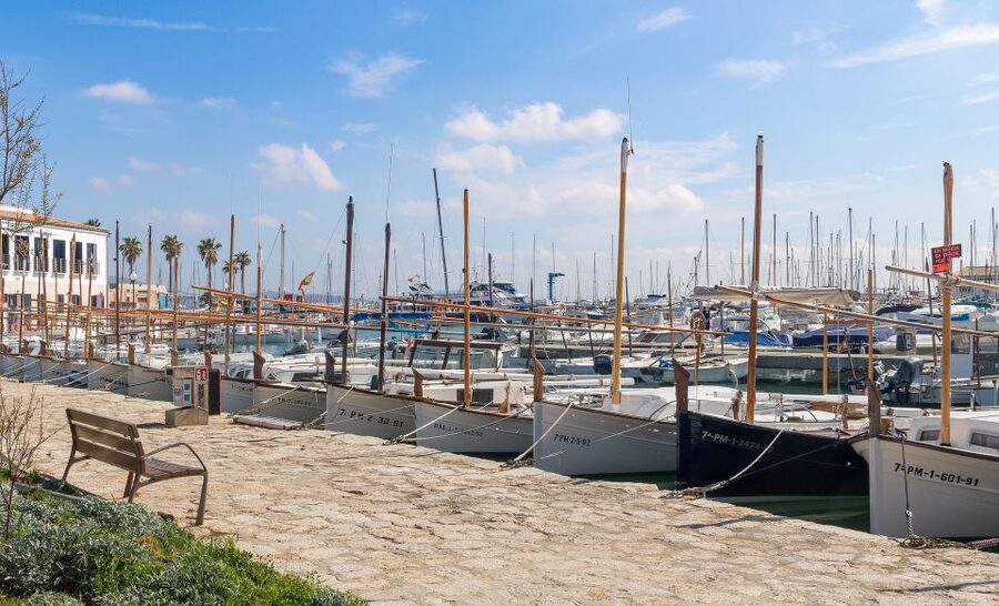 Cap de Formentor: Market, Beach, and Alcudia Tour - The mountain road to Cap de Formentor