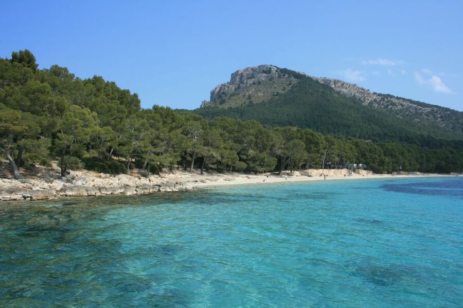 Cap de Formentor: Market, Beach, and Alcudia Tour - Is $69 good value?