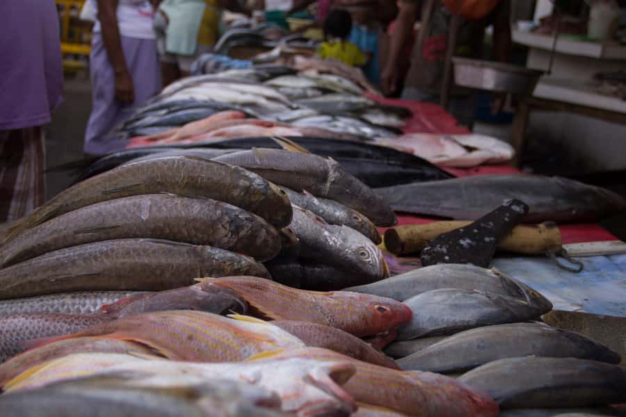 Cartagena Bazurto Market: Authentic Food & Culture Tour - Is $92 a fair price?