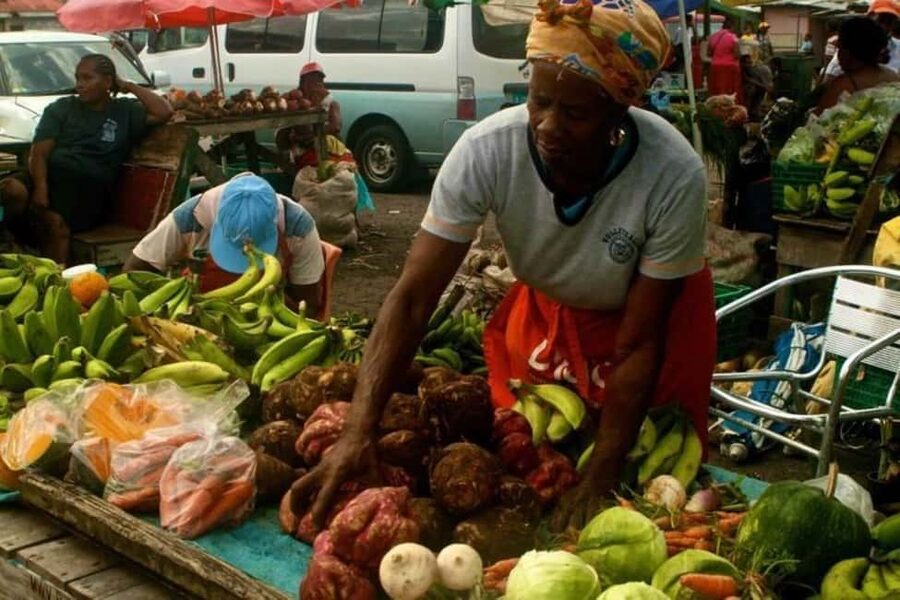 Castries: Guided City Architecture and Castries Market Tour - Key points to know before booking