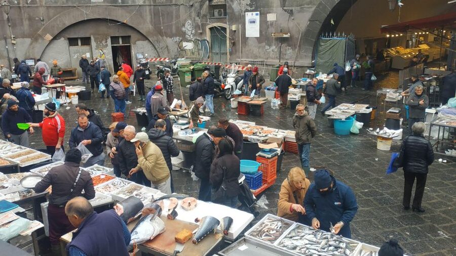 Catania Street Food Tour: Fish Market & City Centre - Arancini, fried fish, and the pleasure of small portions