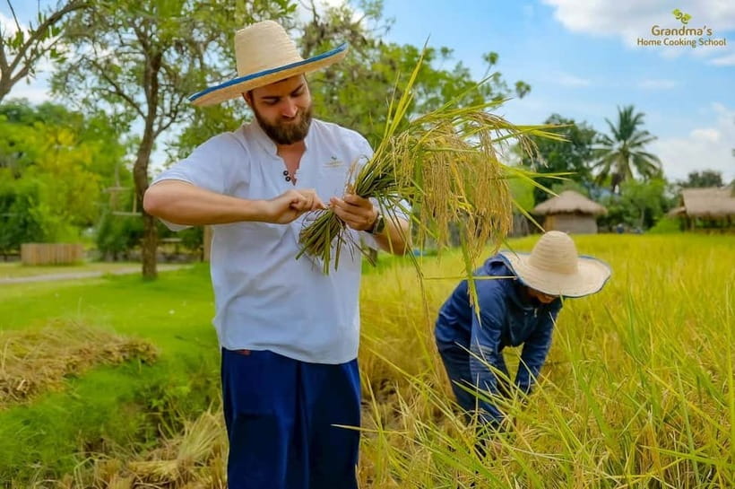 Chiang Mai: Authentic Cooking Class with Market & Farm Visit - Mango sticky rice and the coconut-grater lesson