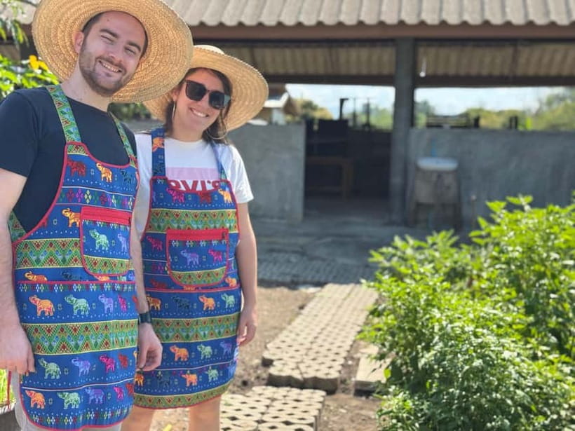 Chiang Mai : Cook in Farm, Market tour & Go by a Local Train - Is the $57 price fair?