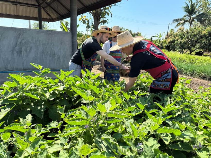 Chiang Mai : Cook in Farm, Market tour & Go by a Local Train - Who will enjoy this five-hour outing?