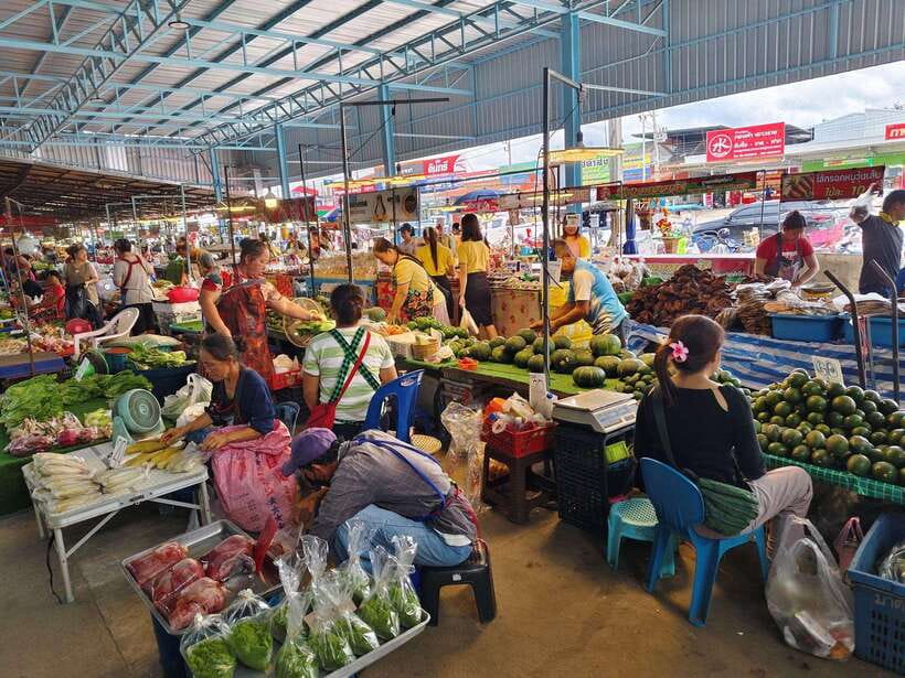 Chiang Mai: Elephants, Sticky Waterfalls, Market and Temple - Why this Chiang Mai day trip works