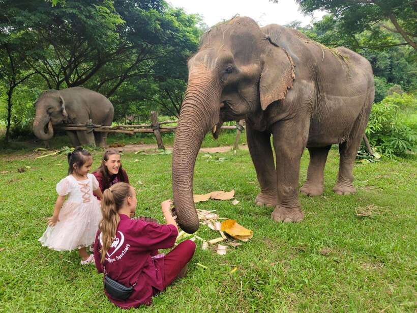 Chiang Mai: Elephants, Sticky Waterfalls, Market and Temple - ตลาดเจดีย์แม่ครัว and a look at everyday food